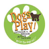 Dogs Play Limited